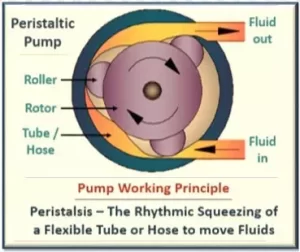 article accuracy of flow measurement of peristaltic pump